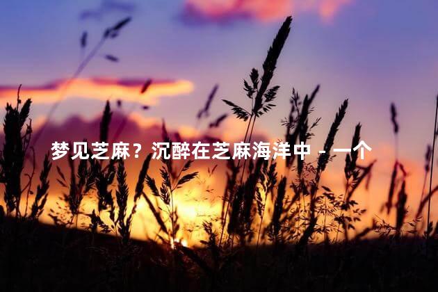 梦见芝麻？沉醉在芝麻海洋中 - 一个梦幻般的经历